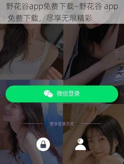 野花谷app免费下载—野花谷 app 免费下载，尽享无限精彩