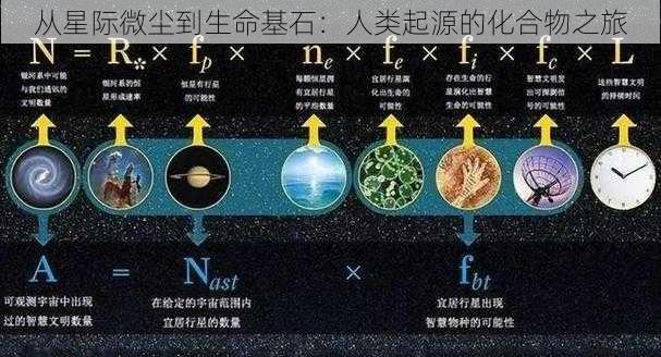 从星际微尘到生命基石：人类起源的化合物之旅