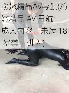 粉嫩精品AV导航(粉嫩精品 AV 导航：成人内容，未满 18 岁禁止进入)