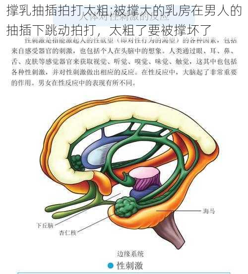 撑乳抽插拍打太粗;被撑大的乳房在男人的抽插下跳动拍打，太粗了要被撑坏了