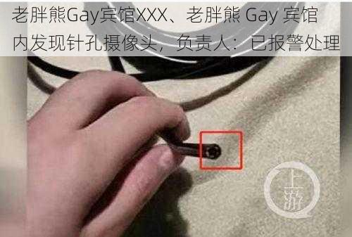 老胖熊Gay宾馆XXX、老胖熊 Gay 宾馆内发现针孔摄像头，负责人：已报警处理