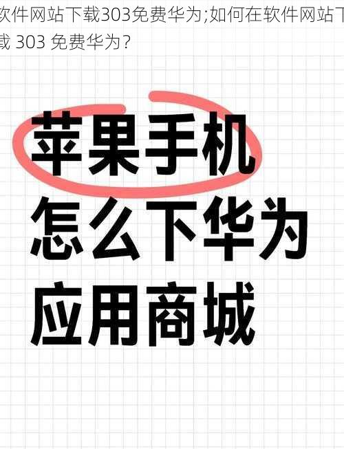 软件网站下载303免费华为;如何在软件网站下载 303 免费华为？