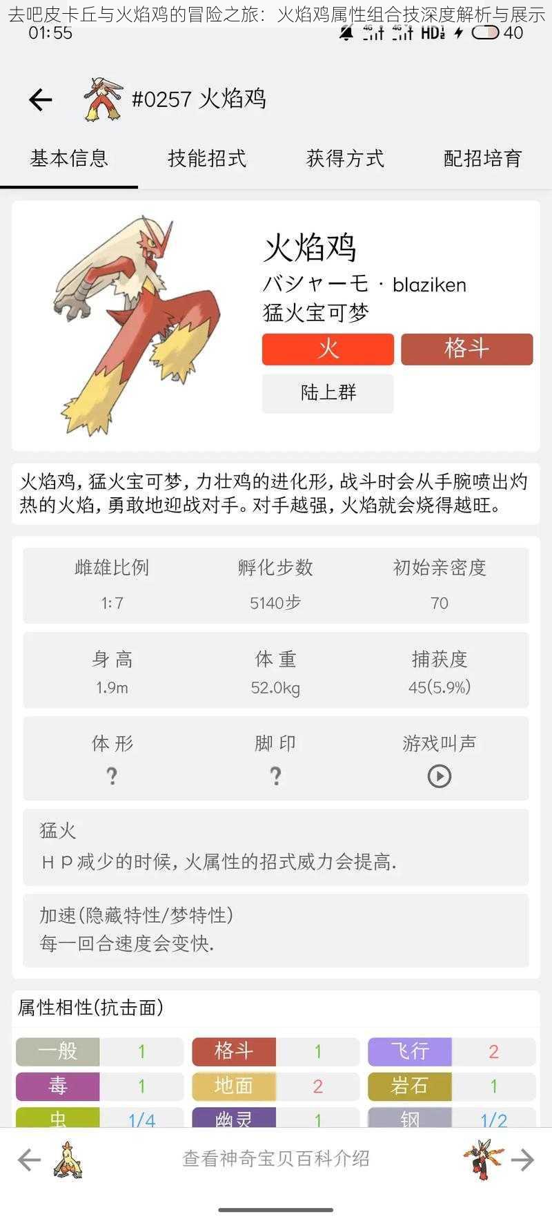 去吧皮卡丘与火焰鸡的冒险之旅：火焰鸡属性组合技深度解析与展示