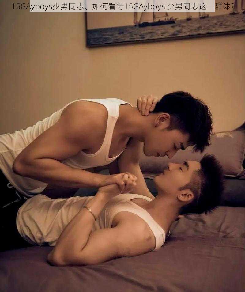 15GAyboys少男同志、如何看待15GAyboys 少男同志这一群体？