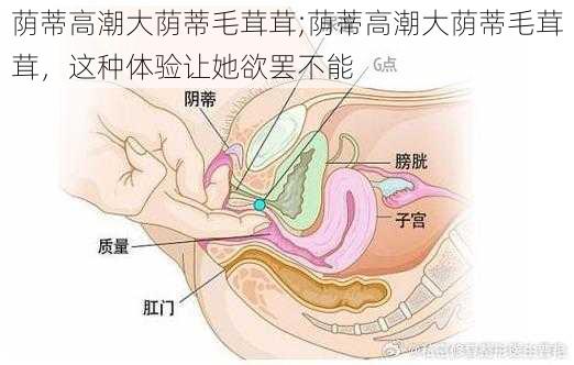 荫蒂高潮大荫蒂毛茸茸;荫蒂高潮大荫蒂毛茸茸，这种体验让她欲罢不能