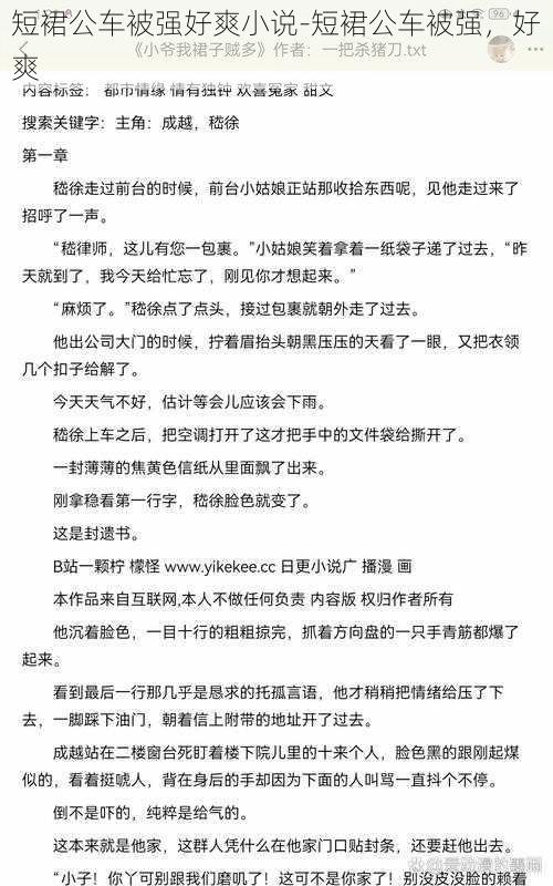 短裙公车被强好爽小说-短裙公车被强，好爽