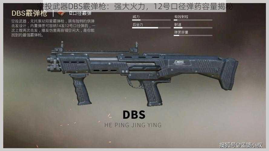 空投武器DBS霰弹枪：强大火力，12号口径弹药容量揭秘