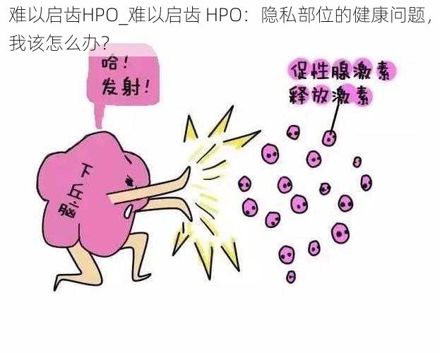 难以启齿HPO_难以启齿 HPO：隐私部位的健康问题，我该怎么办？