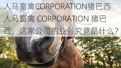 人马畜禽CORPORATION猪巴西 人马畜禽 CORPORATION 猪巴西，这家公司的业务究竟是什么？