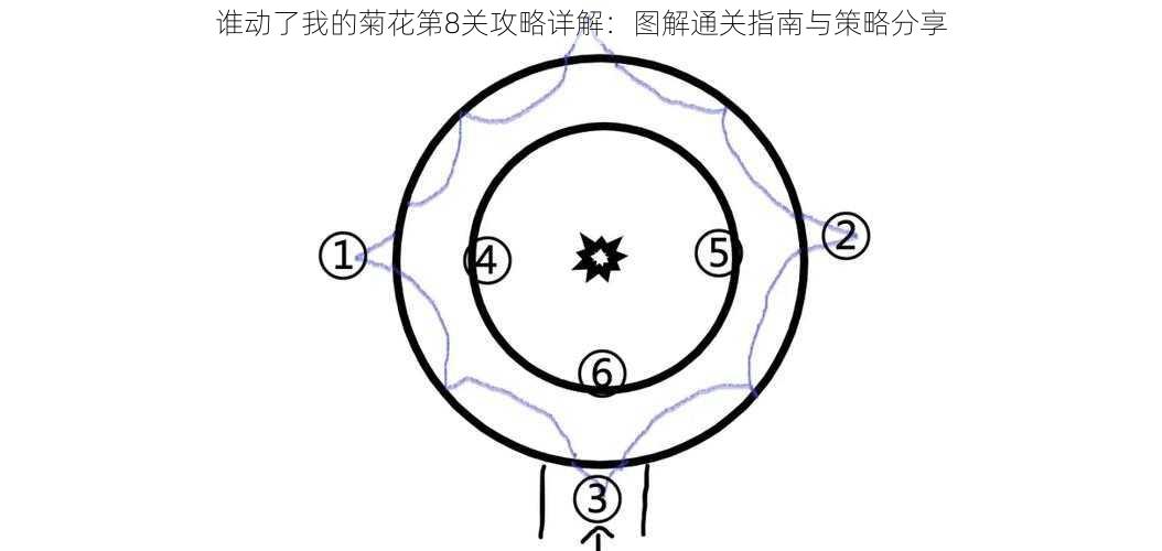 谁动了我的菊花第8关攻略详解：图解通关指南与策略分享