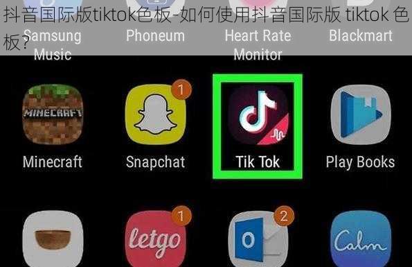 抖音国际版tiktok色板-如何使用抖音国际版 tiktok 色板？