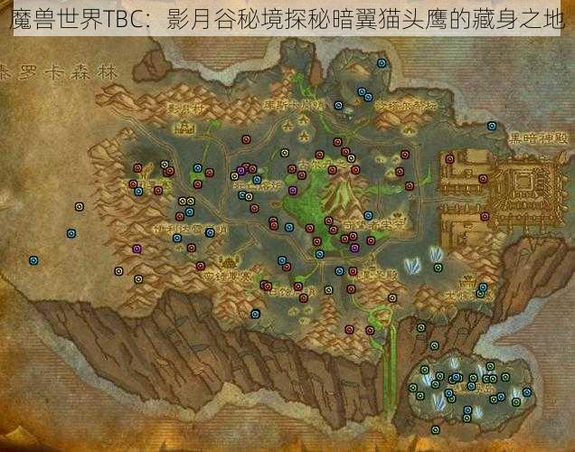 魔兽世界TBC：影月谷秘境探秘暗翼猫头鹰的藏身之地