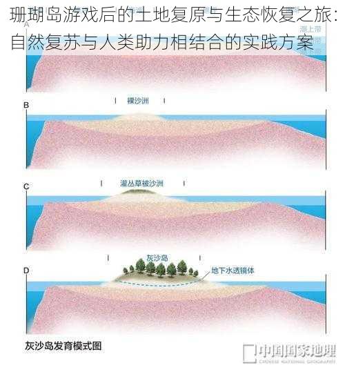 珊瑚岛游戏后的土地复原与生态恢复之旅：自然复苏与人类助力相结合的实践方案