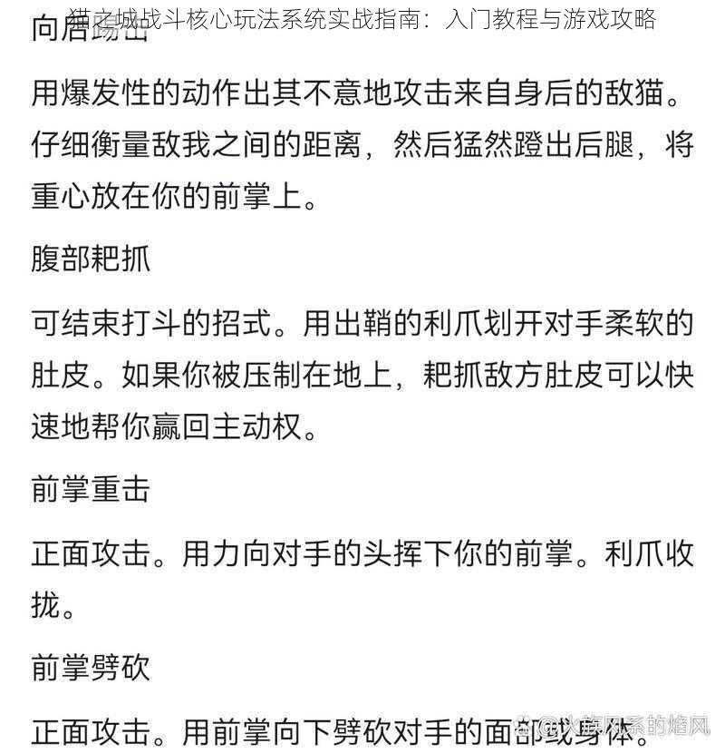 猫之城战斗核心玩法系统实战指南：入门教程与游戏攻略