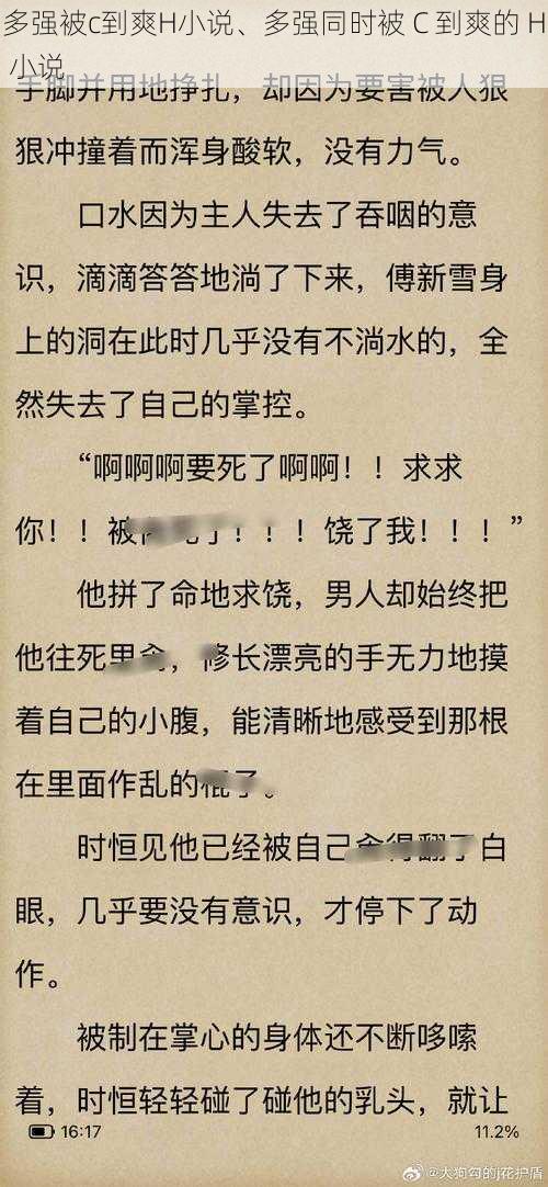 多强被c到爽H小说、多强同时被 C 到爽的 H 小说