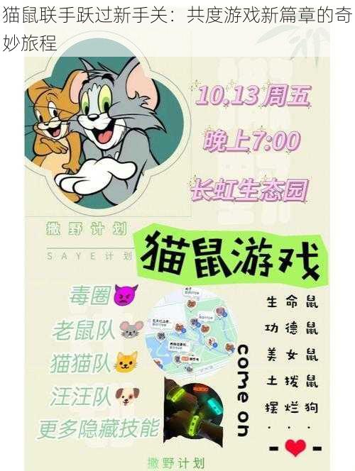 猫鼠联手跃过新手关：共度游戏新篇章的奇妙旅程