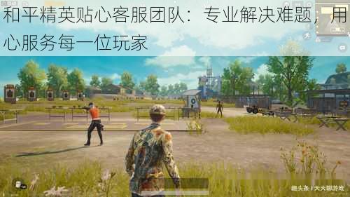 和平精英贴心客服团队：专业解决难题，用心服务每一位玩家