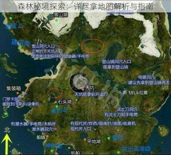 森林秘境探索：详尽拿地图解析与指南