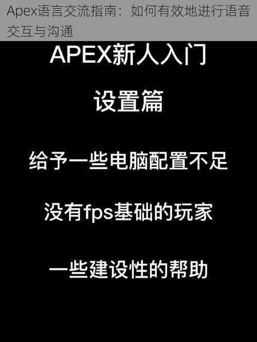 Apex语言交流指南：如何有效地进行语音交互与沟通