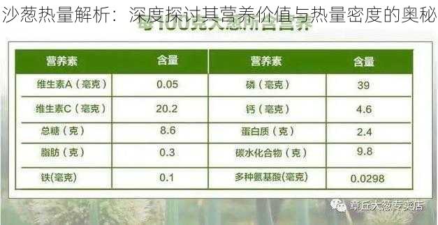 沙葱热量解析：深度探讨其营养价值与热量密度的奥秘