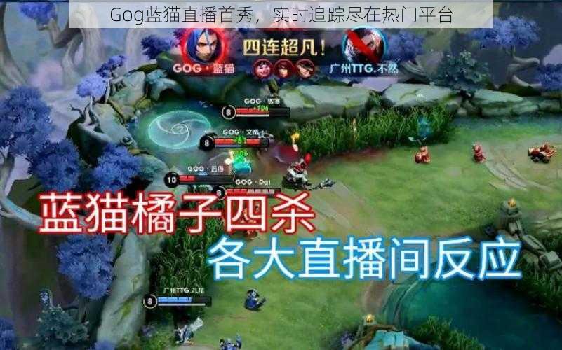 Gog蓝猫直播首秀，实时追踪尽在热门平台