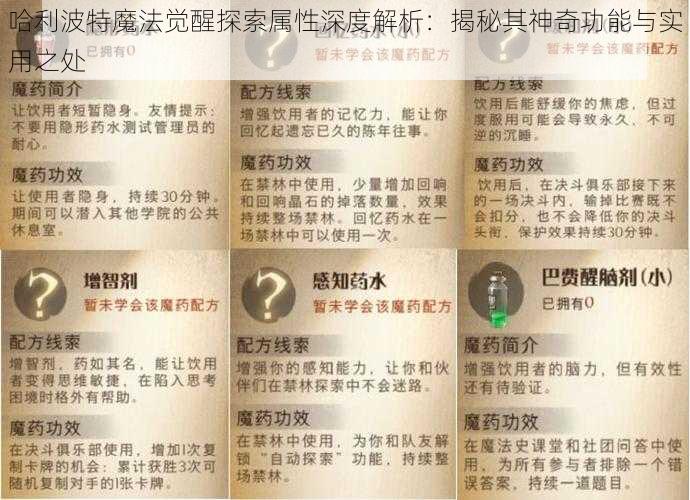 哈利波特魔法觉醒探索属性深度解析：揭秘其神奇功能与实用之处