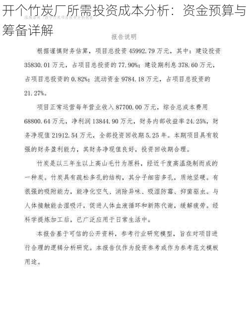 开个竹炭厂所需投资成本分析：资金预算与筹备详解