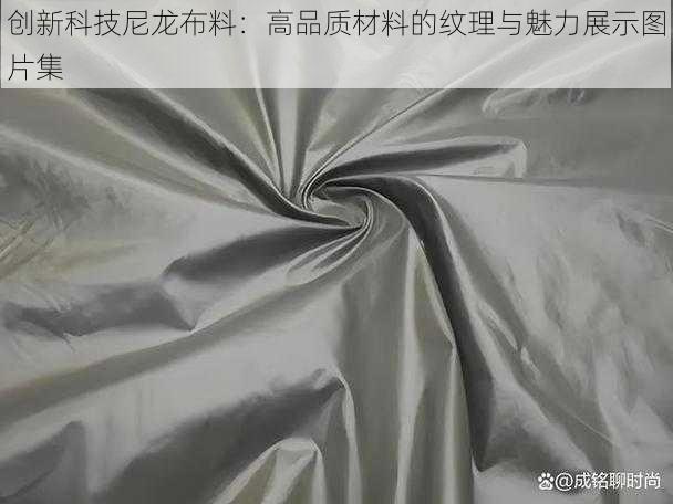 创新科技尼龙布料：高品质材料的纹理与魅力展示图片集