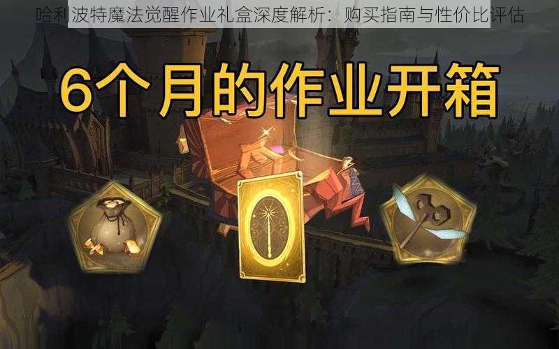 哈利波特魔法觉醒作业礼盒深度解析：购买指南与性价比评估