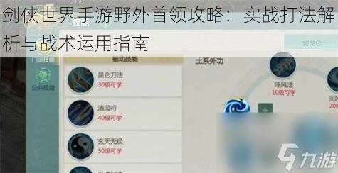 剑侠世界手游野外首领攻略：实战打法解析与战术运用指南