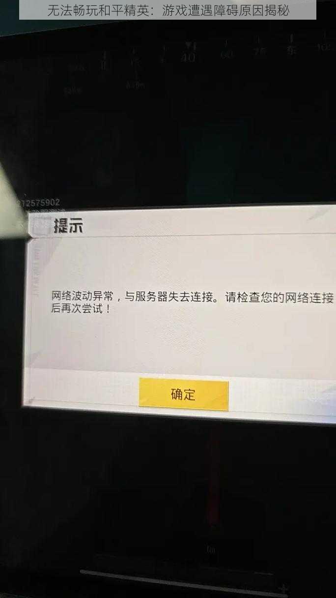 无法畅玩和平精英：游戏遭遇障碍原因揭秘