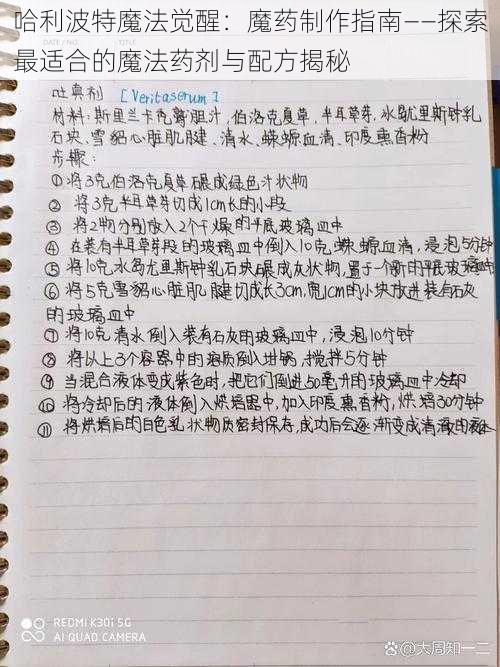 哈利波特魔法觉醒：魔药制作指南——探索最适合的魔法药剂与配方揭秘