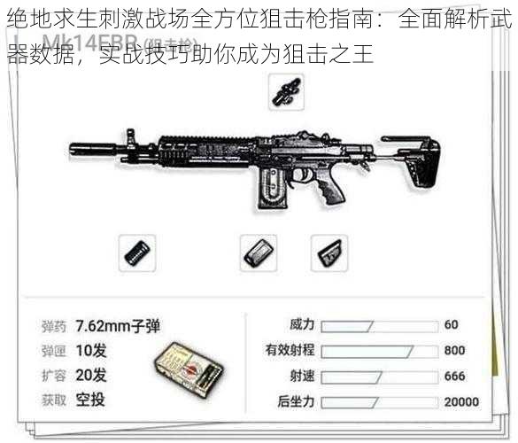 绝地求生刺激战场全方位狙击枪指南：全面解析武器数据，实战技巧助你成为狙击之王