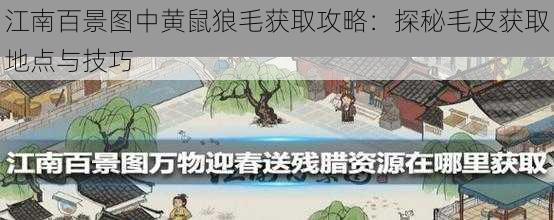 江南百景图中黄鼠狼毛获取攻略：探秘毛皮获取地点与技巧