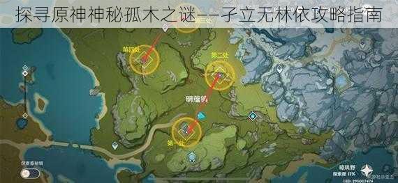 探寻原神神秘孤木之谜——孑立无林依攻略指南