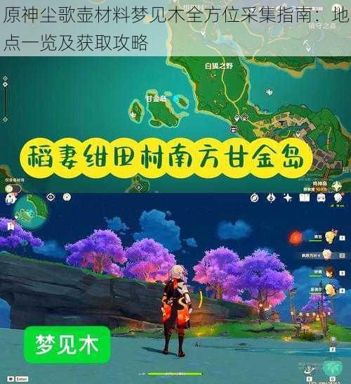 原神尘歌壶材料梦见木全方位采集指南：地点一览及获取攻略